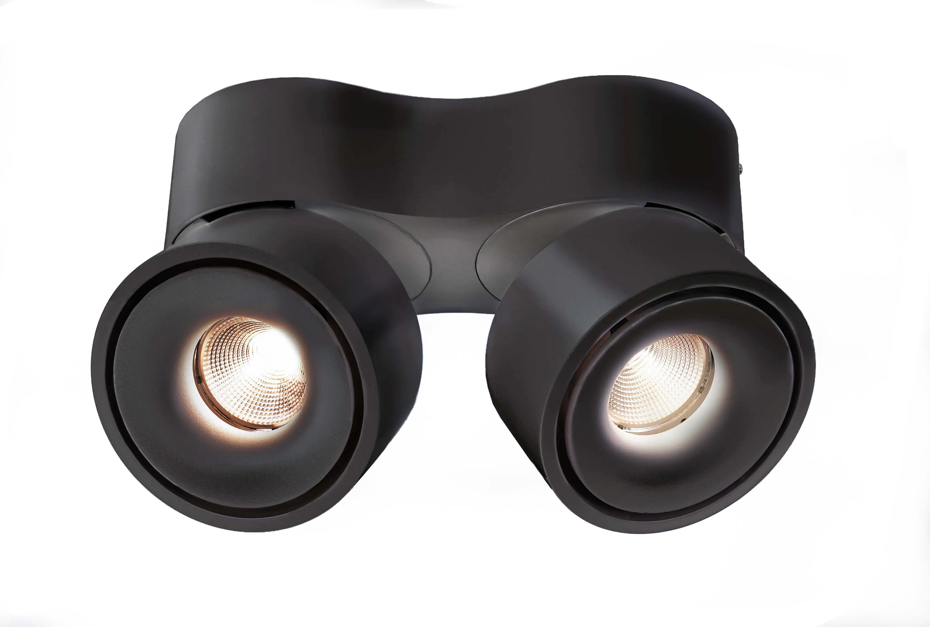 LED-Deckenlampe Uni Double Flex in schwarz